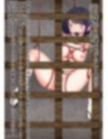 姫さまのお仕置き部屋総集編
