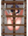 姫さまのお仕置き部屋総集編