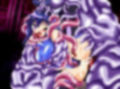 聖霊戦騎アリアンロード Chapter02:蔵識瑞菜