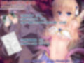IF魔幻少女ドリームメイデンER・アートBOX