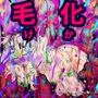 毛化(け・か)aka.澄ちゃん