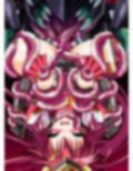 CONCUBINES No.05