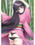 和美人・茜のニッポンご案内1