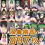 フラワーマスターHCG集まとめ売り（897枚）