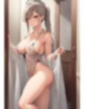 レースを纏った淑女達 I ＋ II セット