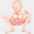 体素材集12