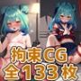 rsa拘束HCG集