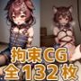 kr3拘束HCG集132枚