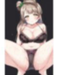 あの娘のパンツでシコりたい！南ことりちゃんの場合