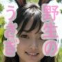 野うさぎ島のうさぎ達のマーキングで舐める以外の選択肢がない