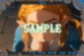 ゼル〇の伝説:ハイラル王国王女ゼル〇