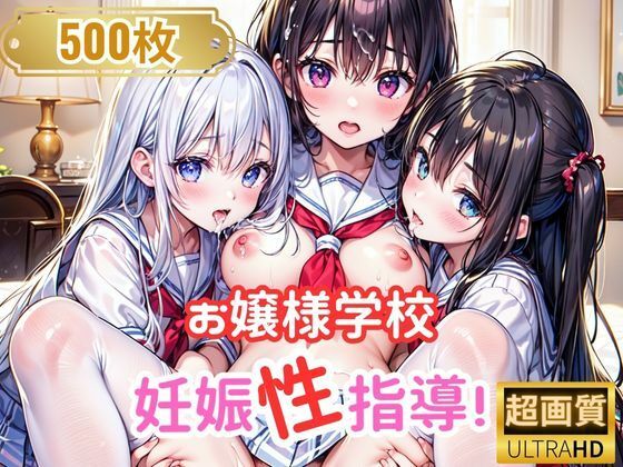 【なお研どっとこむ】同人ＣＧ『お嬢様学校妊娠性指導！』