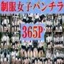 制服女子パンチラ365P！！！