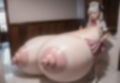 実写風超乳15