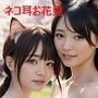 ネコ耳ナチュラルAI美少女 お花見ちょっと百合〜アイドル級の非日常2