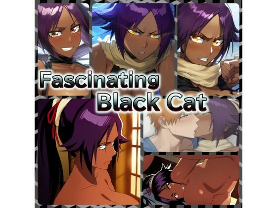 Fascinating Black Cat_1