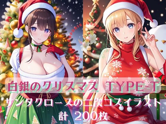 Noël en argent 白銀のクリスマス TYPE-T200二次イラスト_1