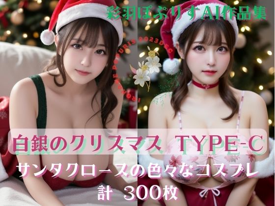 Noël en argent 白銀のクリスマス TYPE-C300