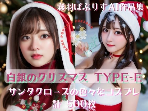 Noël en argent 白銀のクリスマス TYPE-E500_1