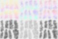 文字素材集20