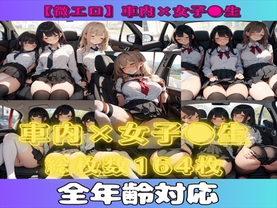 【【微エロ】車内×女子校生（複数・睡眠・拘束アリ）【総枚数164枚】】