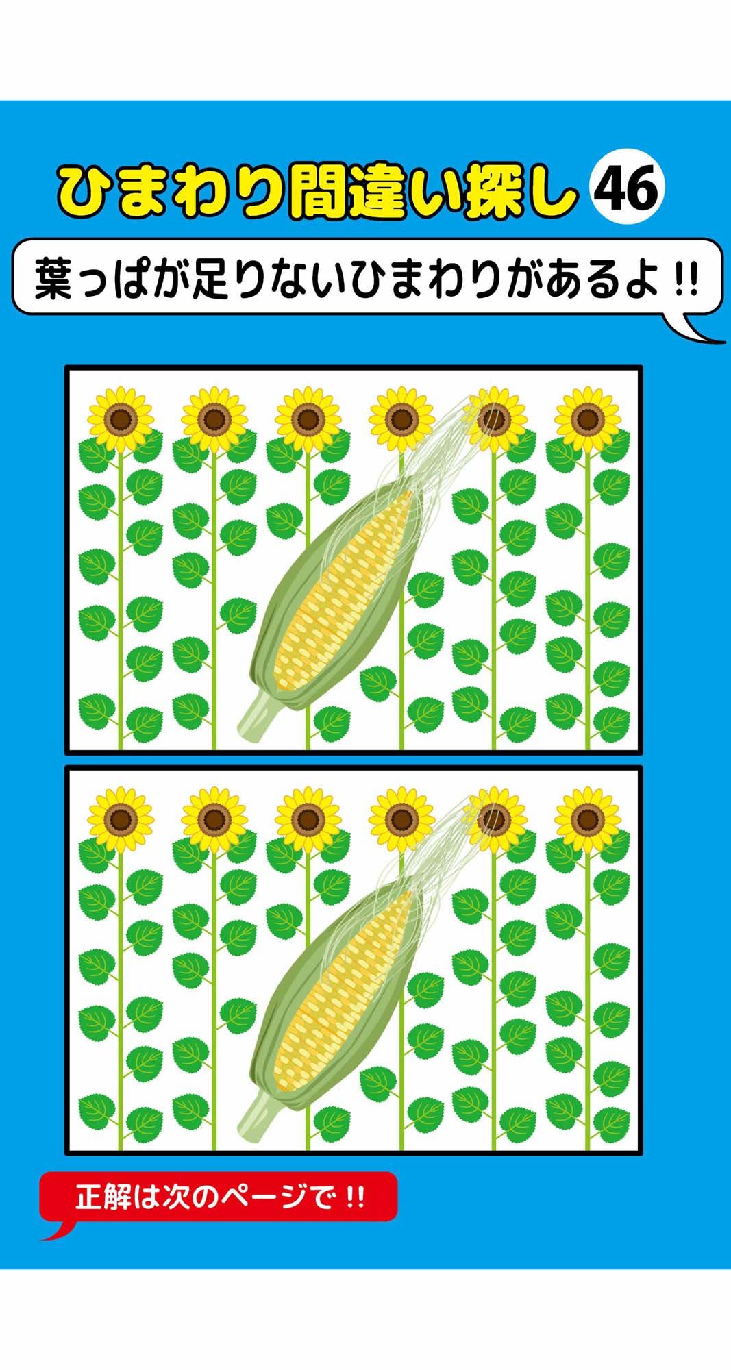 葉っぱが一枚足りないひまわり間違い探し（4）2