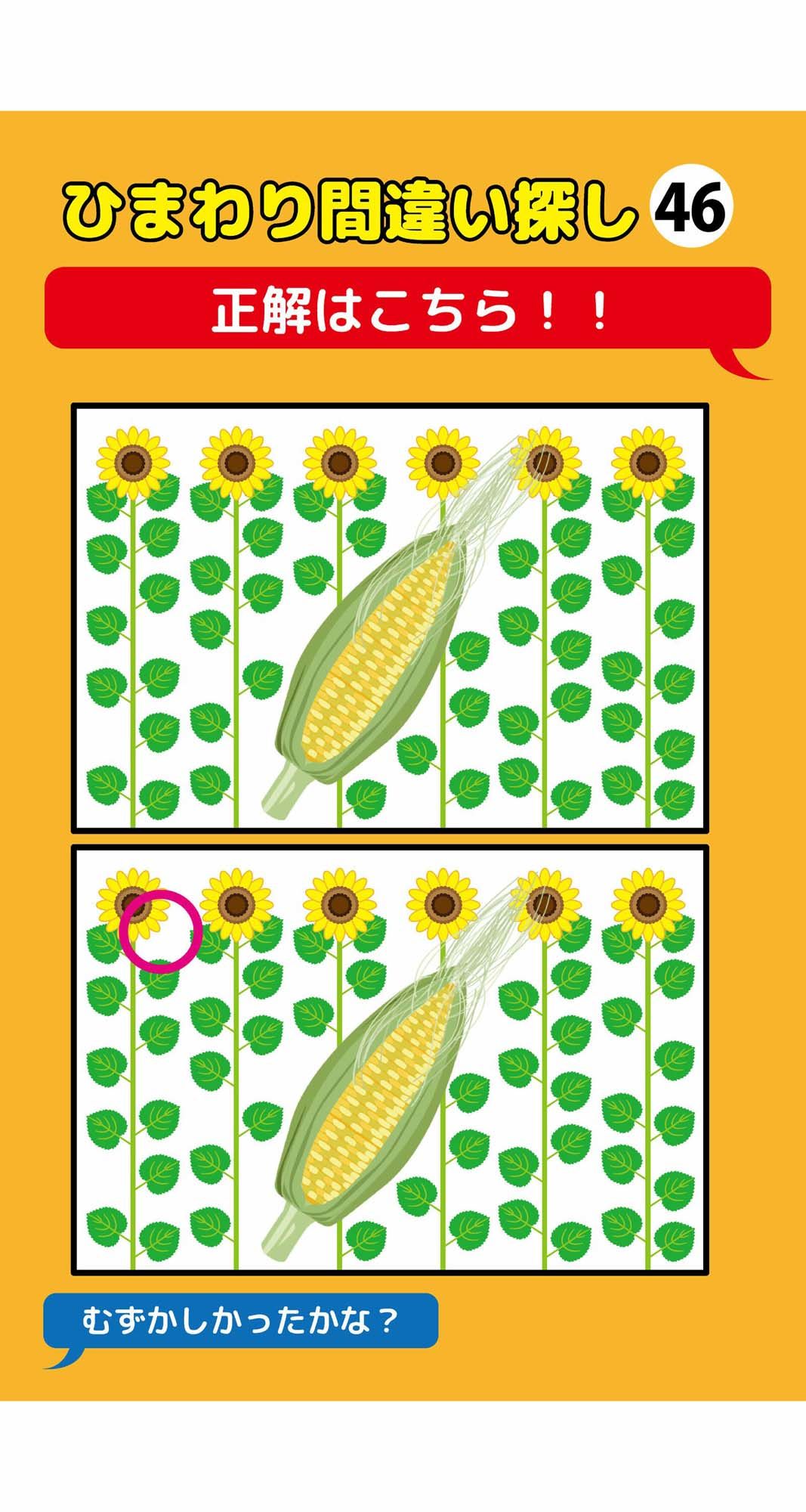 葉っぱが一枚足りないひまわり間違い探し（4）3