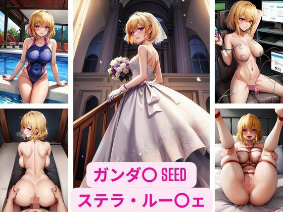 和姦パートと凌〇パートは無理やり屈服させる構成です【ガンダ〇SEEDステラ・ルー〇ェ画像集】