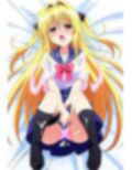 ToLO〇Eる 金〇のヤミ コスプレコレクション 画像1