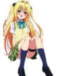 ToLO〇Eる 金〇のヤミ コスプレコレクション 画像6