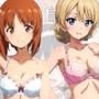 学園艦指導員の性指導