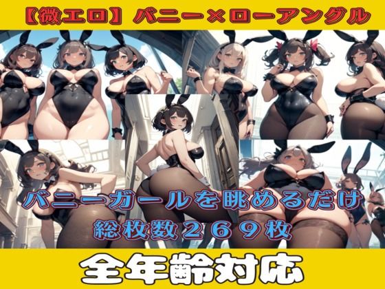 【微エロ】見上げるバニーガール（ハイレグ・ローアングル）【総枚269数】