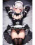 ラバーメイド誘惑記録集II
