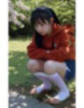 花見会場野ション
