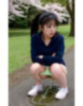 花見会場野ション