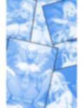 爆乳エルフママこういうのでいいんだよCG集