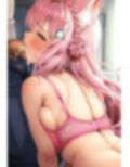 ホ〇ックスCG集