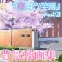 みにくる動く背景CG素材集『桜舞う学園』part01