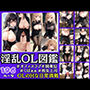淫乱OL図鑑 HなOLの日常