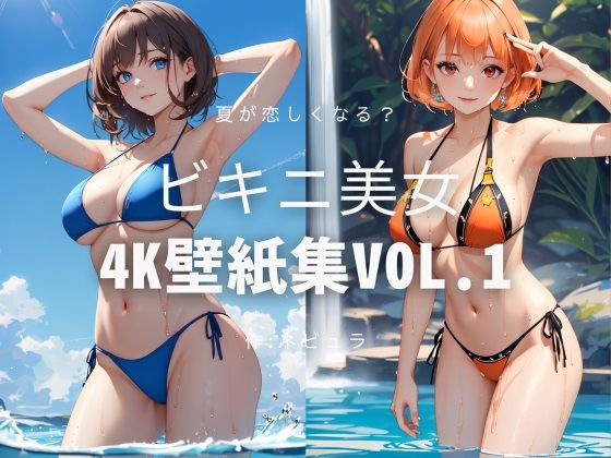 ビキニ美女壁紙集Vol.1