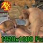 【ROMV090】Tekkem7 ラッキークロ工とポーレ「筋肉最高!!」