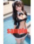 メイドちゃんをレンタル 画像5