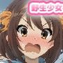 野生少女 涼宮ハ〇ヒを調教快楽堕ちさせる