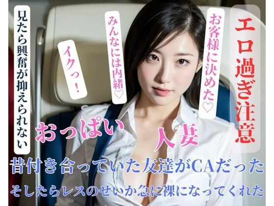 昔付き合っていた友達がCAだったそしたらレスのせいか急に裸になってくれた【mengj】