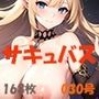 サキュバス 魅魔 Succubus 030号 168枚
