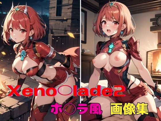 Xeno◯lade2 ホ◯ラ風 画像集_1