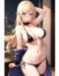 サキュバス 魅魔 Succubus 第43号 168枚 画像8