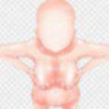 体素材集21