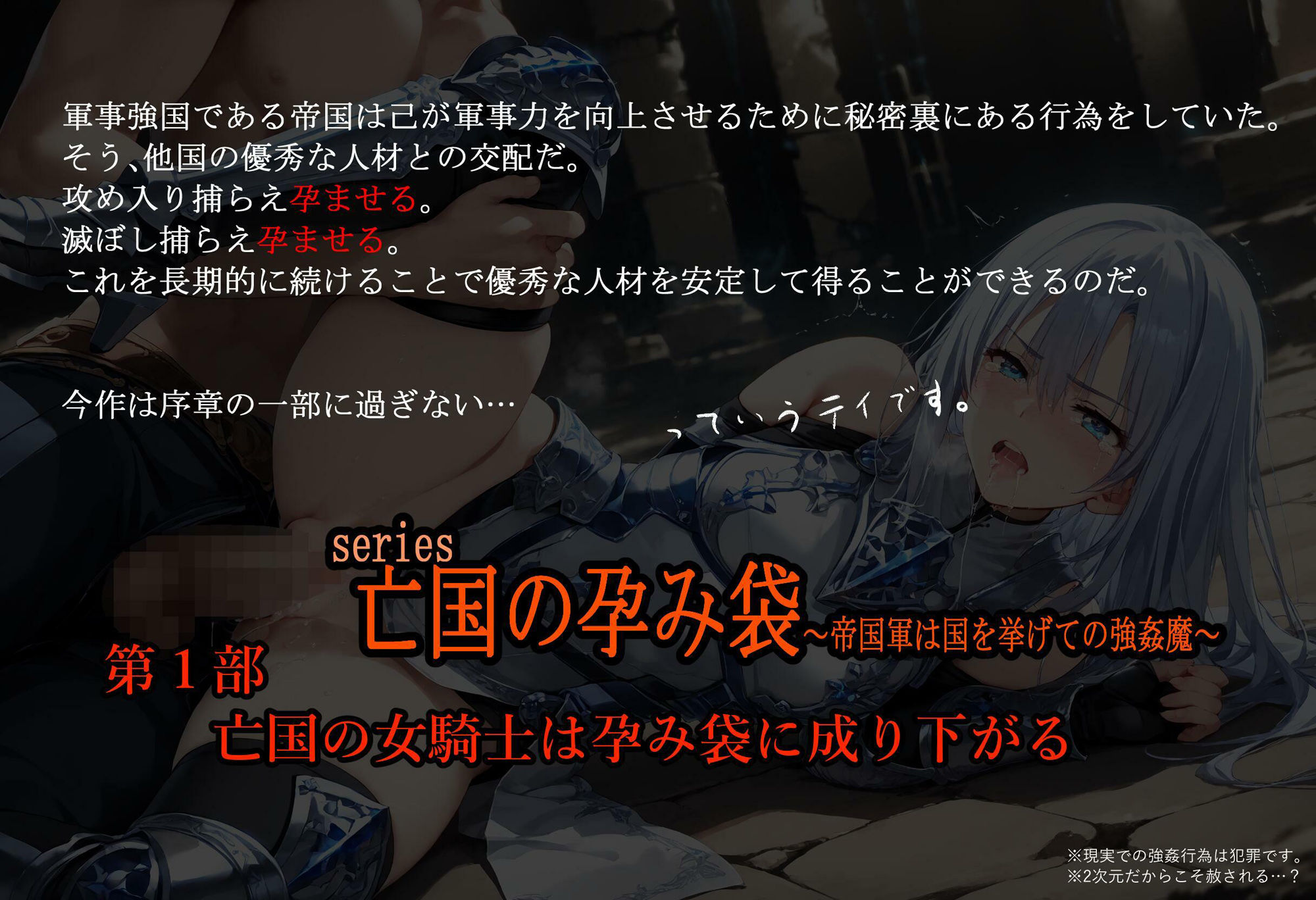 亡国の孕み袋 〜帝国軍は国を挙げての強●魔〜 第一部 亡国の女騎士は孕み袋に成り下がる1