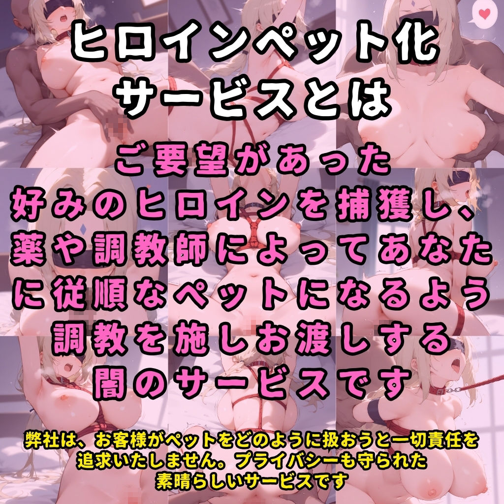 ヒロインペット化調教ドキュメンタリー【某シノビの里/ツ●デ編】〜ヒロインが拉致され調教師にイカされまくってご主人様の元に出荷されるまで〜 画像1